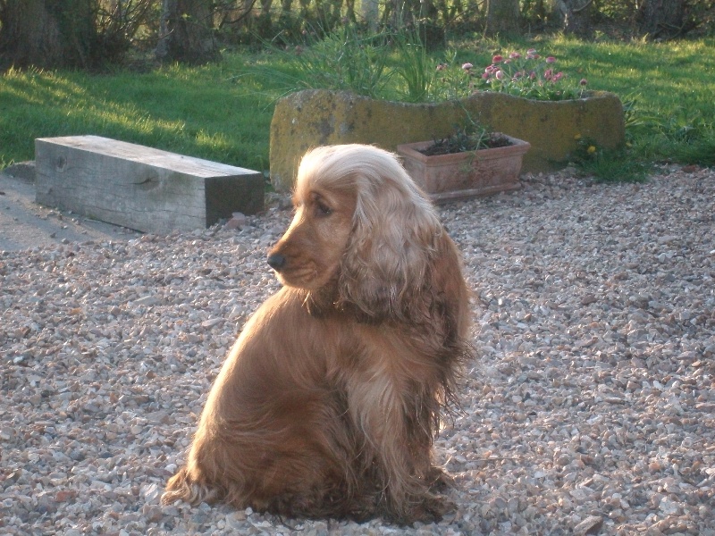 Elsa du bois ker gwen